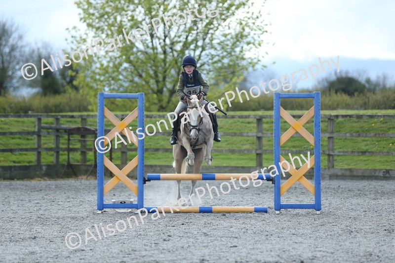 20260412-1775 - Show Jumping