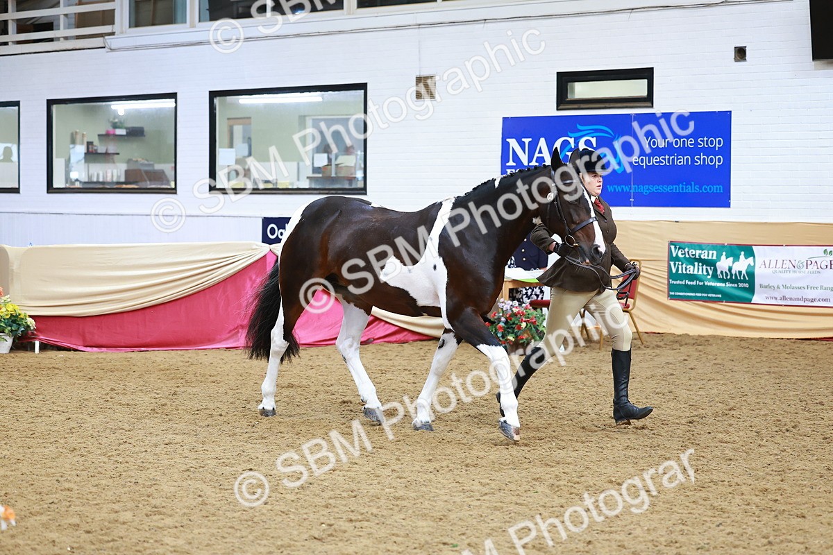 SBM_09807 - Class 102 - HOYS Veteran Qualifier - Ridden Veteran