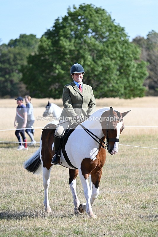 WJ7_3063 - Class 8 Ridden Tack & Turnout