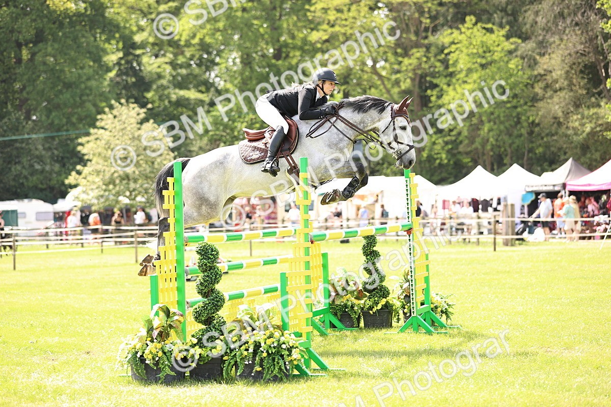 SBM_03172 - Class 201 - British Horse Feedds Speedi Beet HOYS Grade C