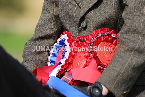 SIAL6896 - Miscellaneous pics