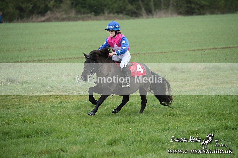 SHETPR 210425 111 - Shetland Ponies Paxford Races 21/04/25