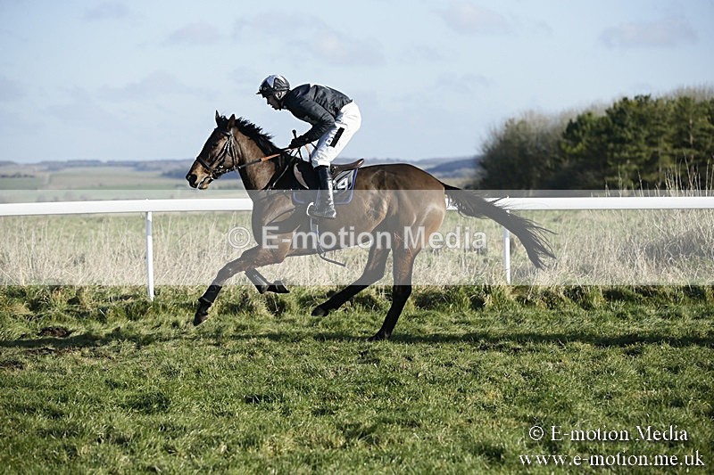 PtP 070118 -314 - Larkhill Racing Club Point to Point Larkhill 07/01/2018