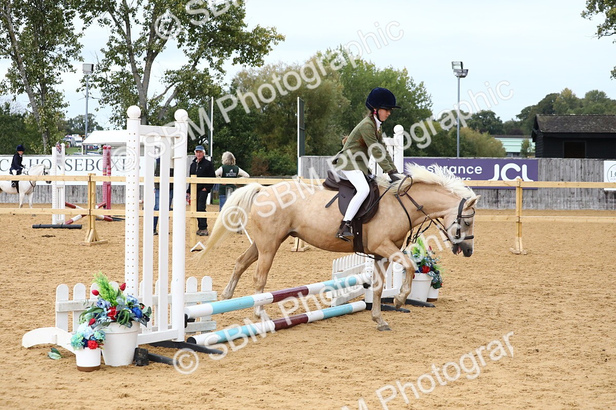 SBM_68092 - J3b - Mini Tour Junior Pony 40cm Championship