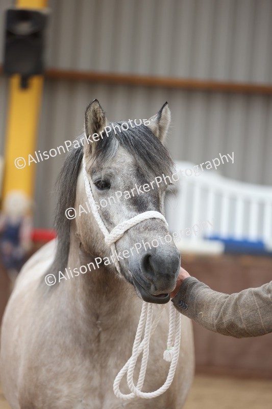 20251109-0928 - Class 26 - 2 and 4 Year Olds