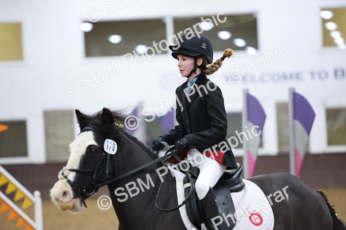 SBM_001121 - Class 3 - Christmas Tree Stakes - 60cm