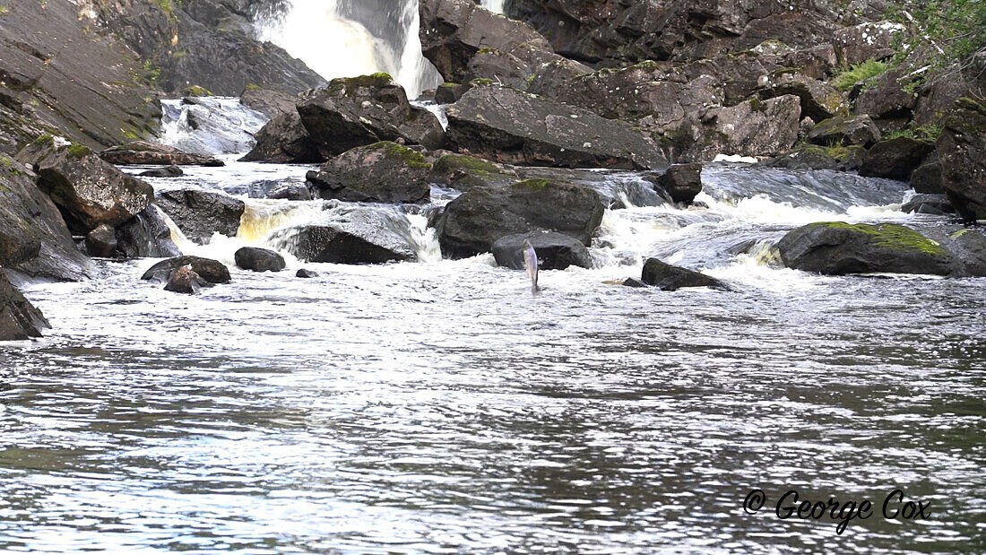 C0017-5 - Scotland