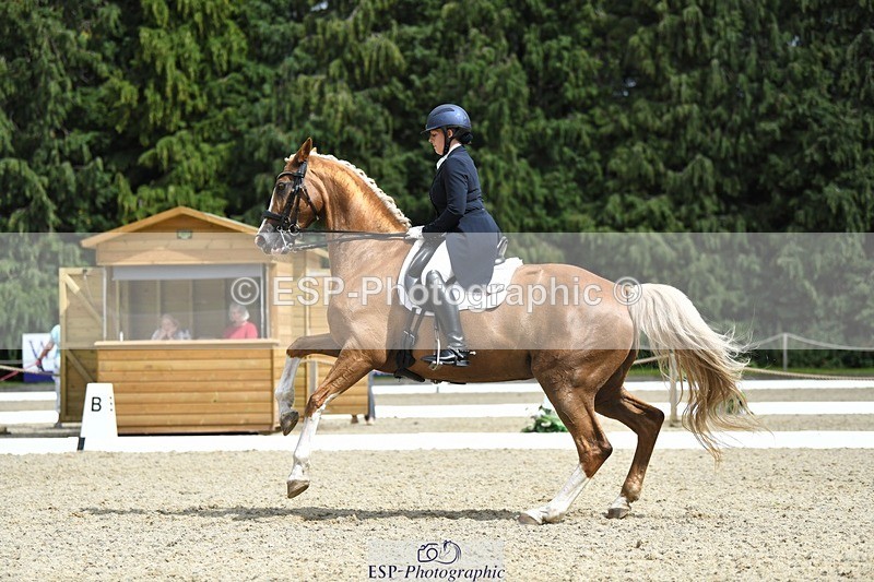 230812-144257-04775 - Cls 7 FEI PSG Bronze