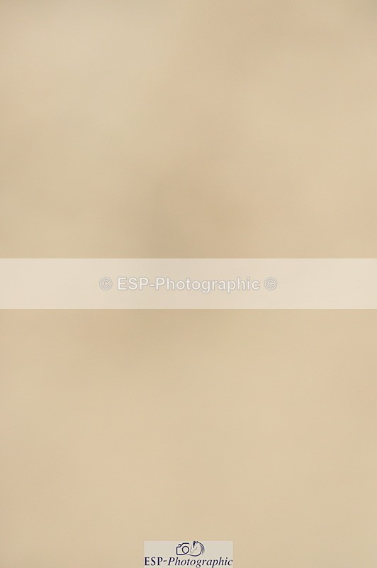 240210A-144744-01615 - Cls 26 Springboard