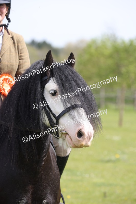 20260426-4027 - Class 33 - Best Pony 14.2hh and Under