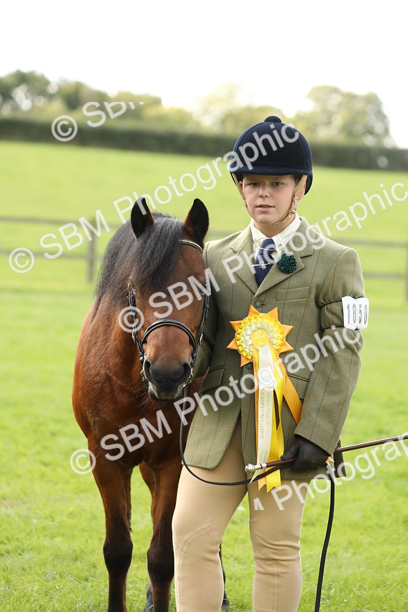 SBM_62876 - S46 - Mountain & Moorland In Hand Small Breeds