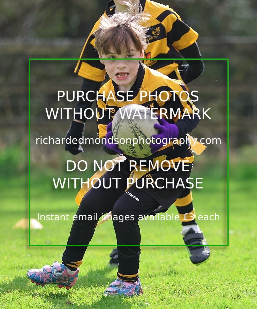 533A4937 - Kendal Rugby Under 7's (12/4/26)