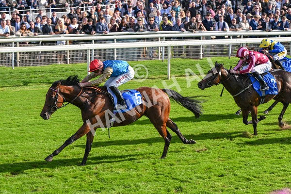 111025-Race 1-Division-8245 - Race 1 Coral Rockingham Stakes at York