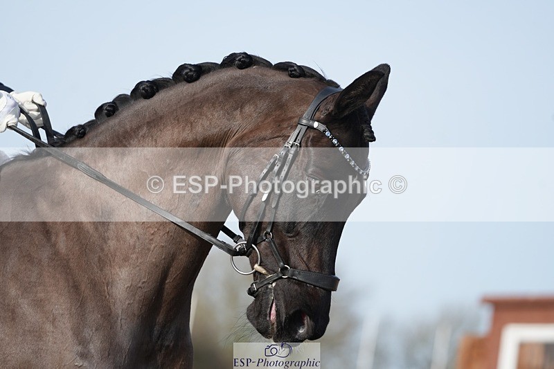 260214-134016-04265 - 118-Holly.Kerslake