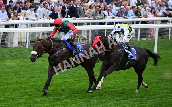 230825-222 Northern Ticker - Race 5 4.10pm Sky Bet Constantine Handicap