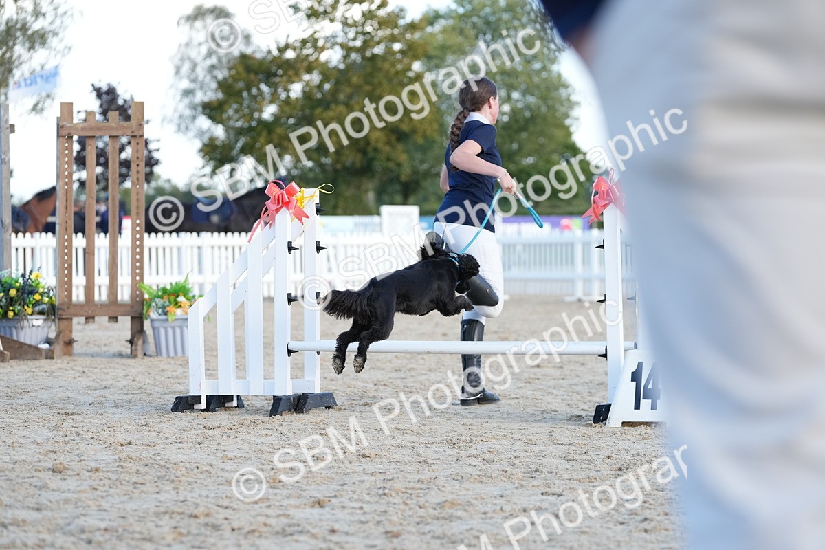 SBM_29069 - J43 - Horse & Hound Open 50cm