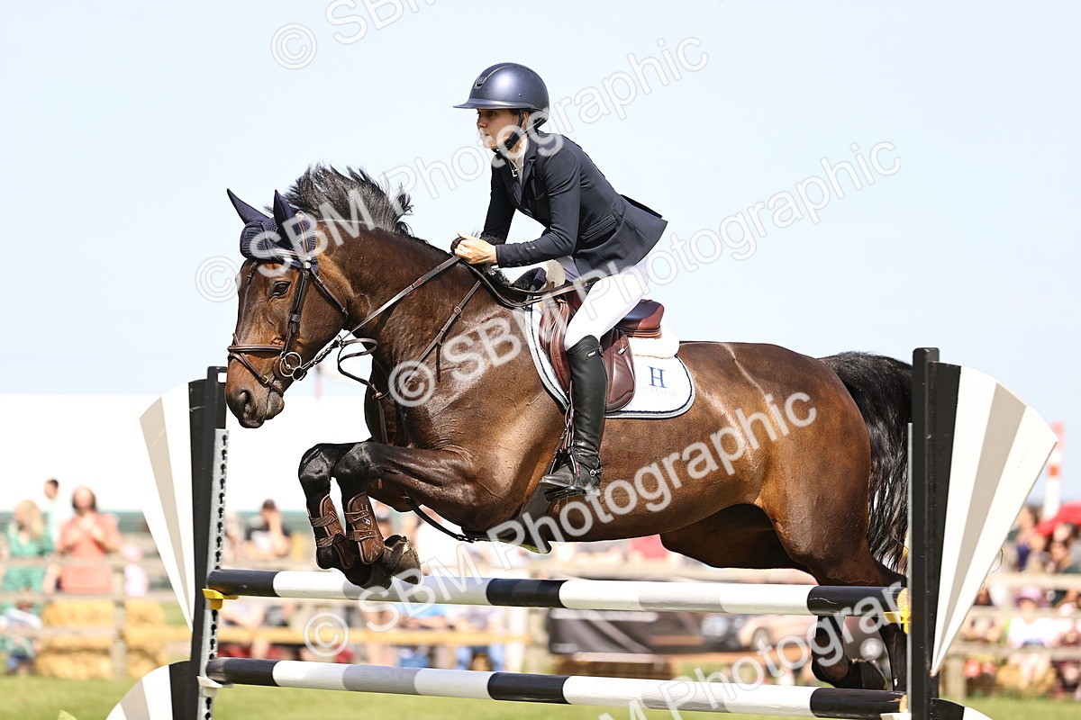 SBM_03135 - Class 201 - British Horse Feedds Speedi Beet HOYS Grade C