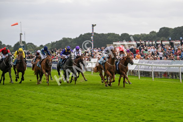 220824-Race 3-Thunder Run-7020 - Race 3 3.00pm Clipper Handicap