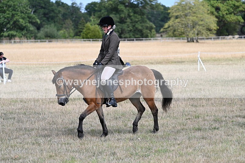 WJ7_6014 - Class 13 Ridden Veterans