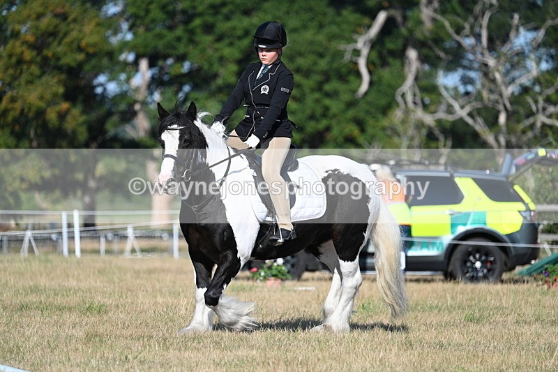 WJ7_8835 - Time 09:00 to 09:24