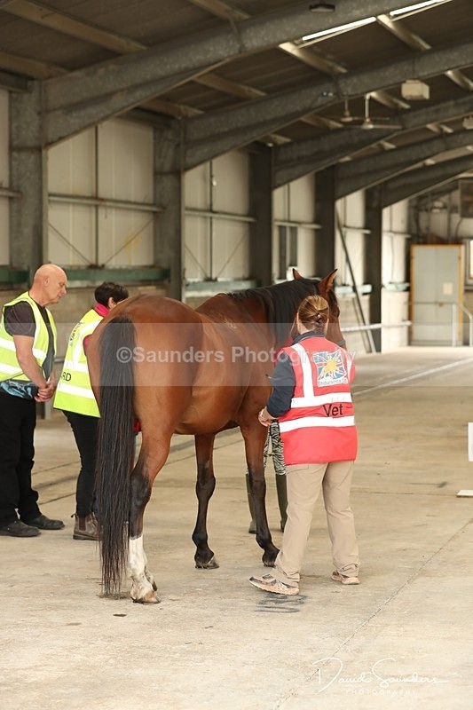 SPXX3566 - Vetting