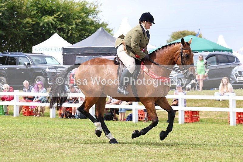 3E7A0701 - Rising Star Ridden Championship