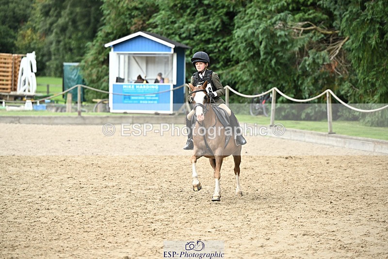 240822X-152311-10790 - 50cm R1 15.00 to 16.00