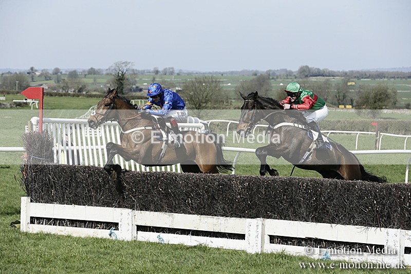 PtP 260317 2 - Mendip Farmers Point-to-Point Ston Easton 26/03/17