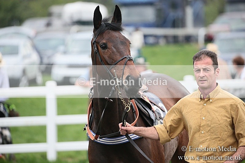 PtP 210418 136 - South & West Wilts Point-to-Point Larkhill 21/04/18