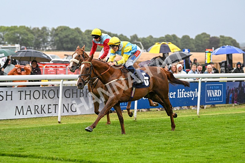 040725-Race 5-Dubai Venture-5606 - Race 5