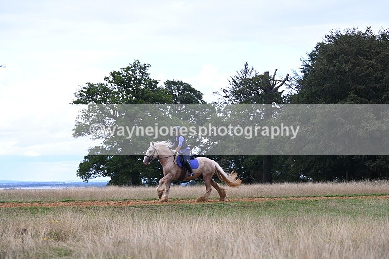 DSC_9500 - Time at Statue 15:11 to 15:58