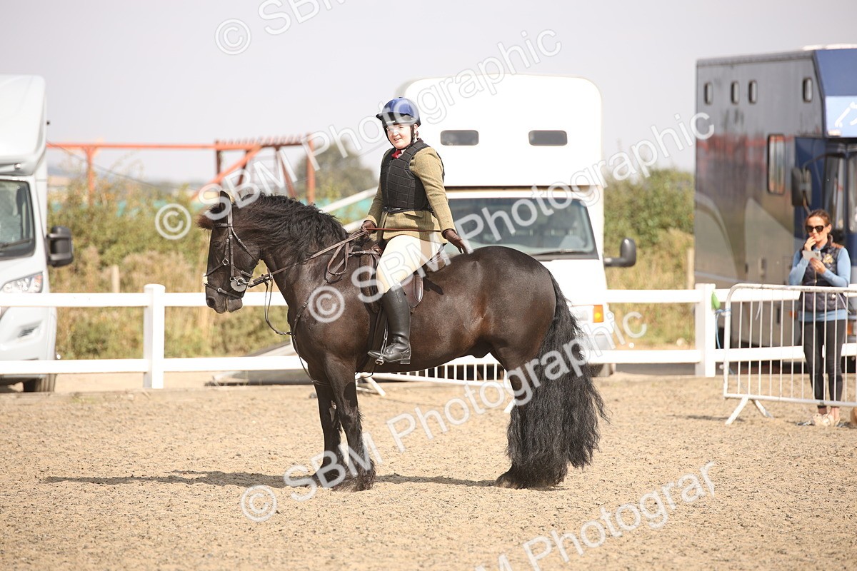 SBM_15004 - Class 408a - Working Veteran 70cm (15-19