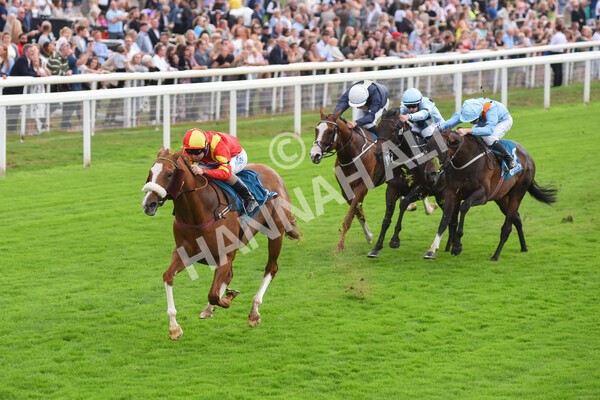 yr04092022r3-31 - Race 3 2.55pm The Elevator Company Garrowby Stakes