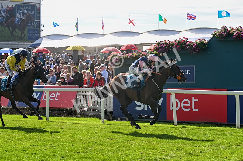 060926-Race 3-Moon Chime-7631 - Race 3 2.40pm Hanson Springs Stayers Handicap