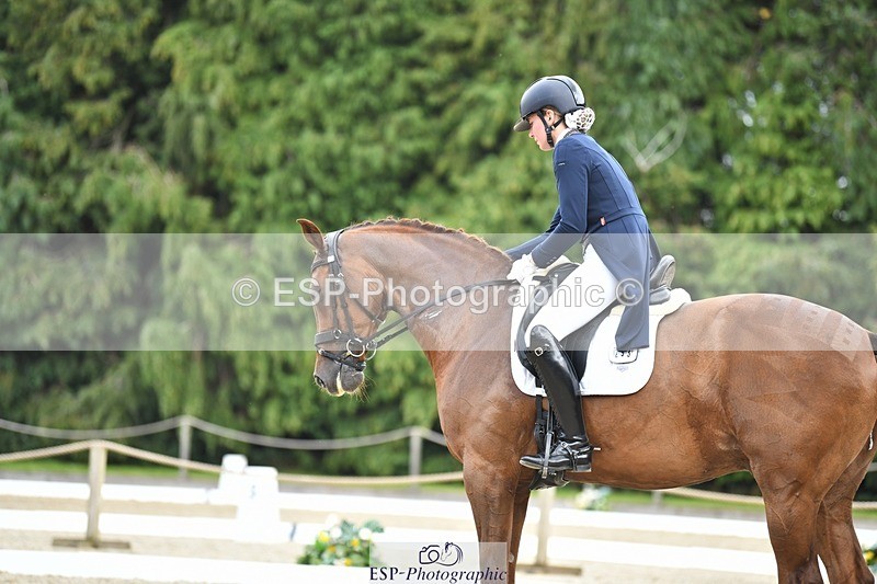 230812-141228-04639 - Cls 7 FEI PSG Bronze