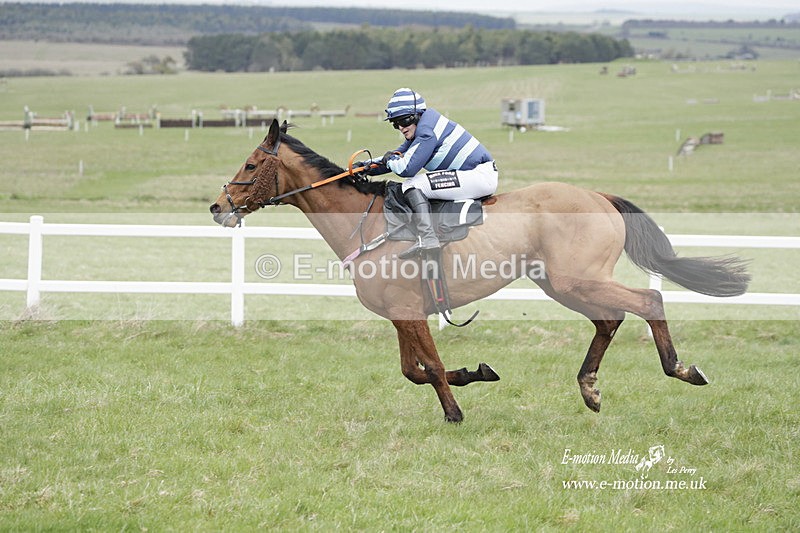 PtP 260323 0526 - New Forest Hounds Point-to-Point Larkhill 26/03/23
