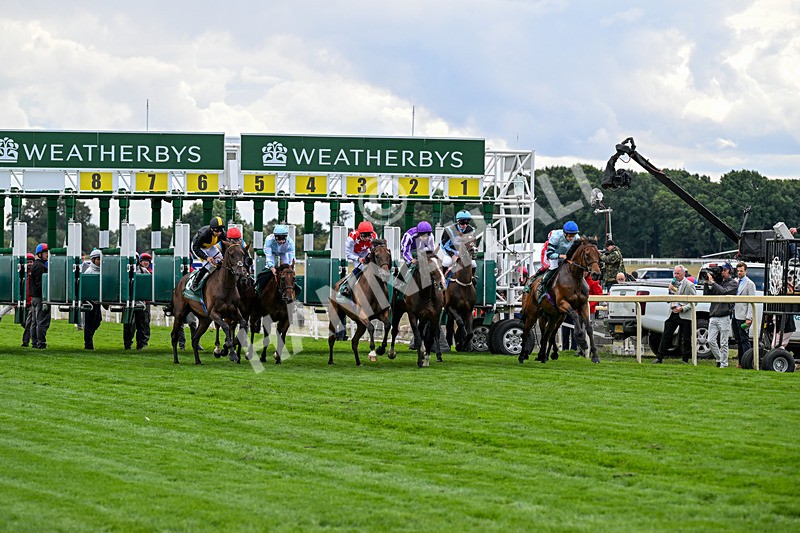 210826-Race 2-Al Nayyir-5270 - Race 2 14.25pm Weatherbys Lonsdale Cup Stakes