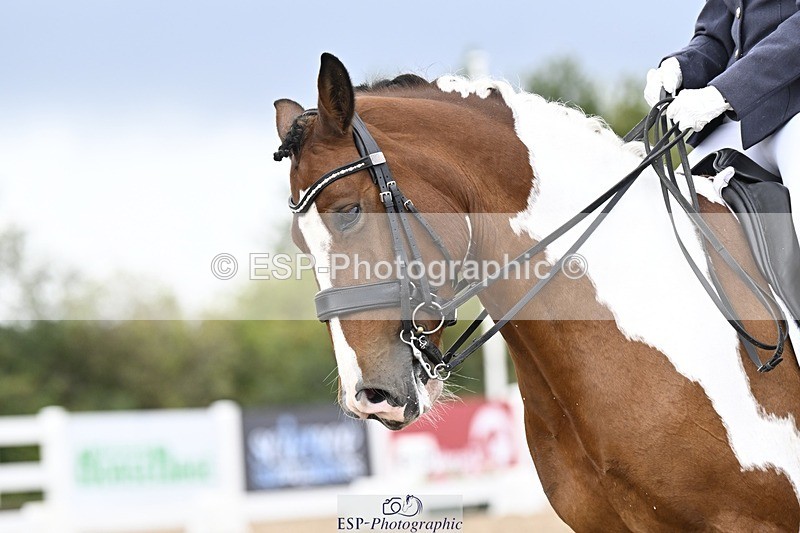 250907-164246-10741 - 112-Mel.DayDolderwydd.lucky.Maisie