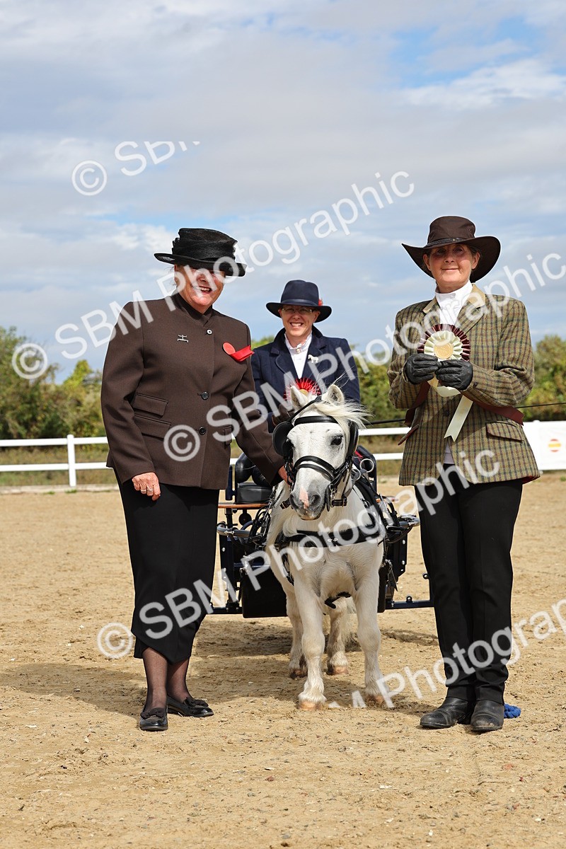 SBM_001114 - Class 14 - Shetland Ponies and Minatures