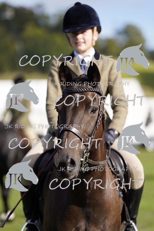 _DSC9576 - Class 8 & 17 Ridden Hunter & Ridden Hunter Pony