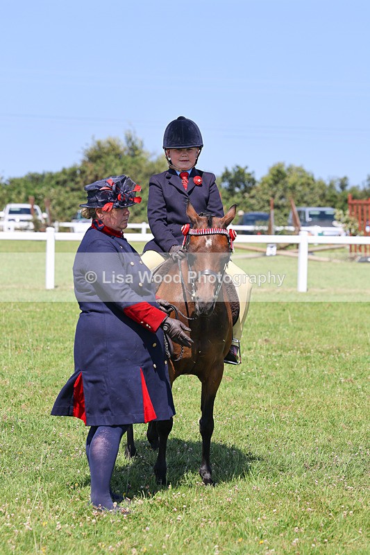 IMG_2186 - Class 36: Part Bred Ridden M & M