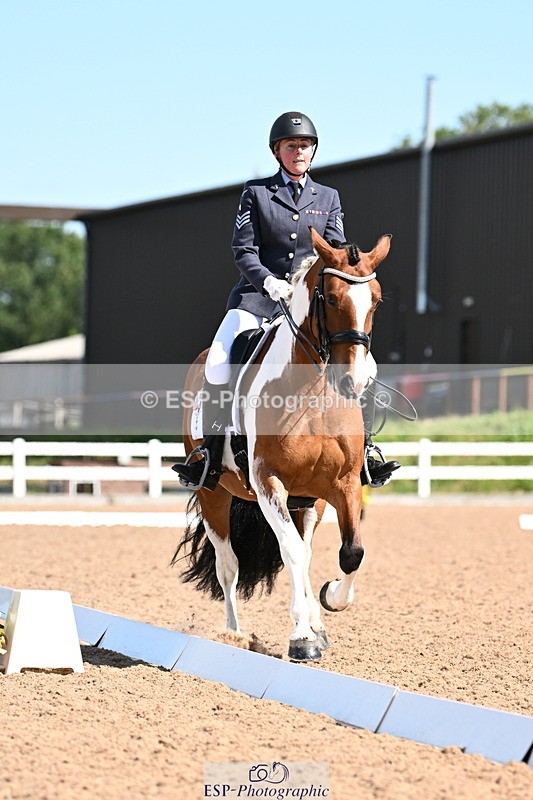 240816A-111059-04017 - 189-Mel.Day-Dolderwydd.lucky.Maisie