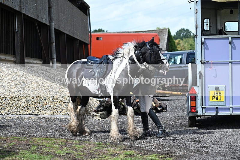 WJ7_7442 - Berks & Bucks at Blandy’s Farm 31-08-25