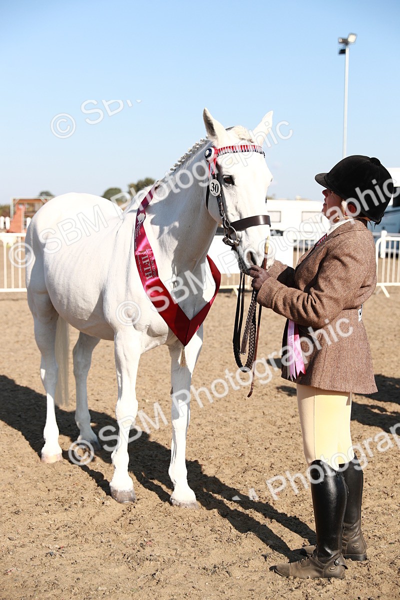 SBM_00138 - Class 40 Best Turned Out IH