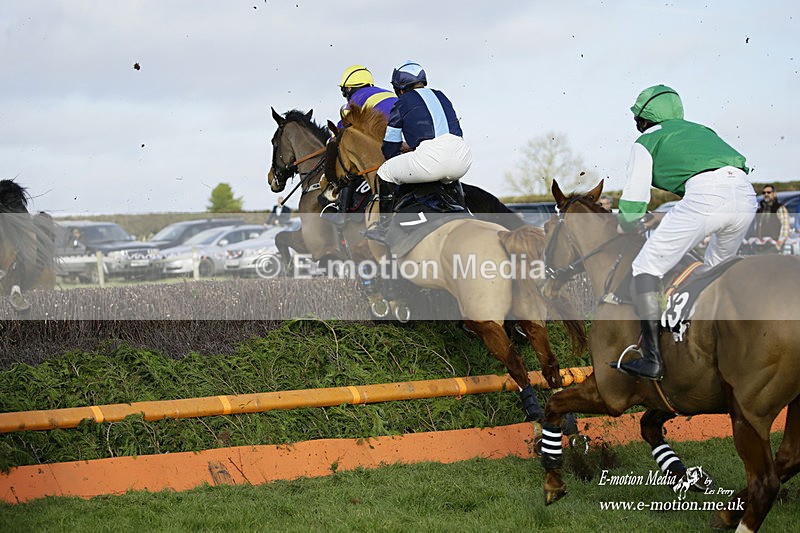 PtP 300122 374 - South Dorset Hunt - Point-to-Point Races 30/01/2022
