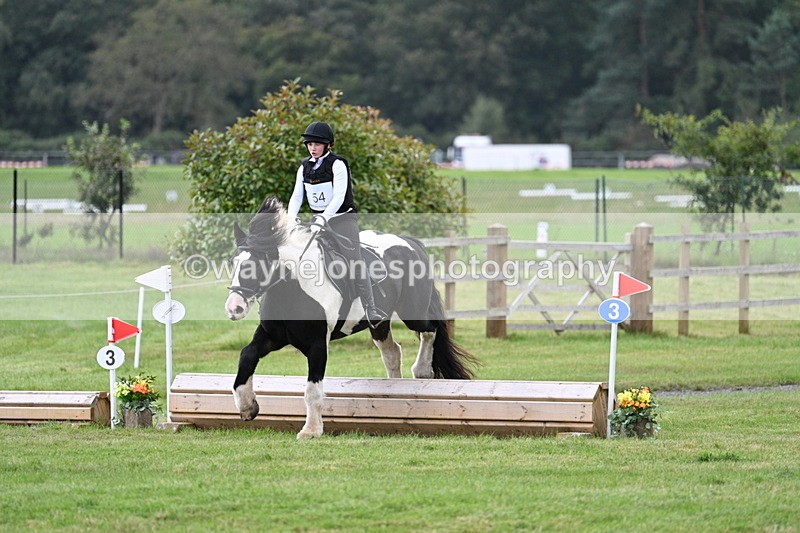 WJ7_8429 - 60cm Time 12:11 to 12:30