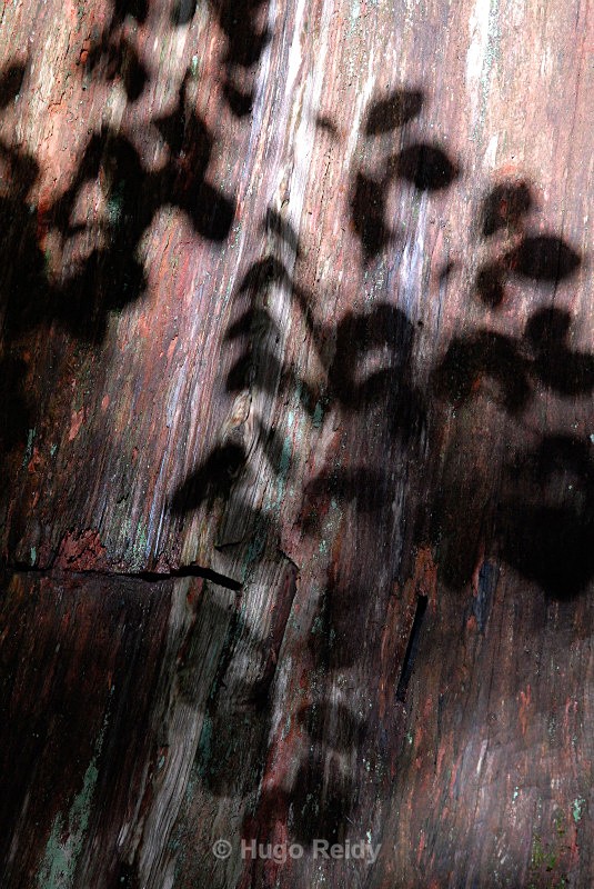  - Some Selected Images