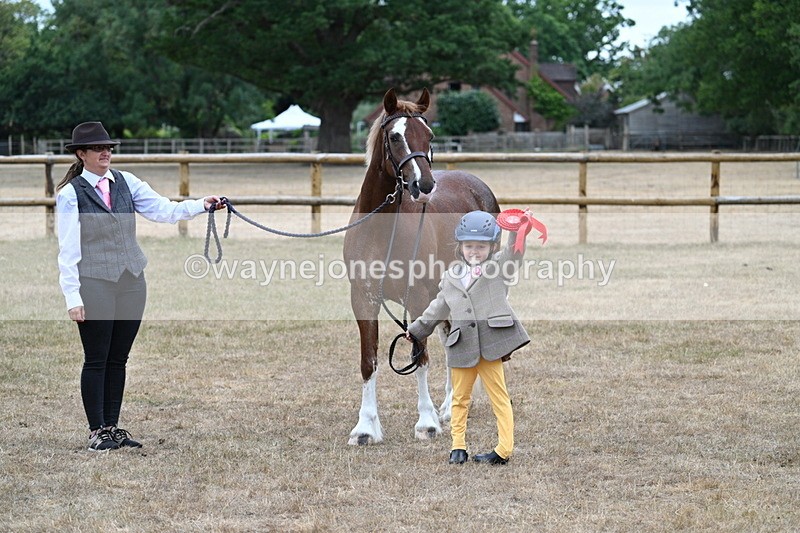 WJ7_8573 - Class 4 Prettiest Mare up to 14.2hh