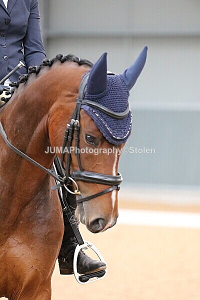 SIAL7173 - GDG Bogenraith Friday 26th Sept 2025