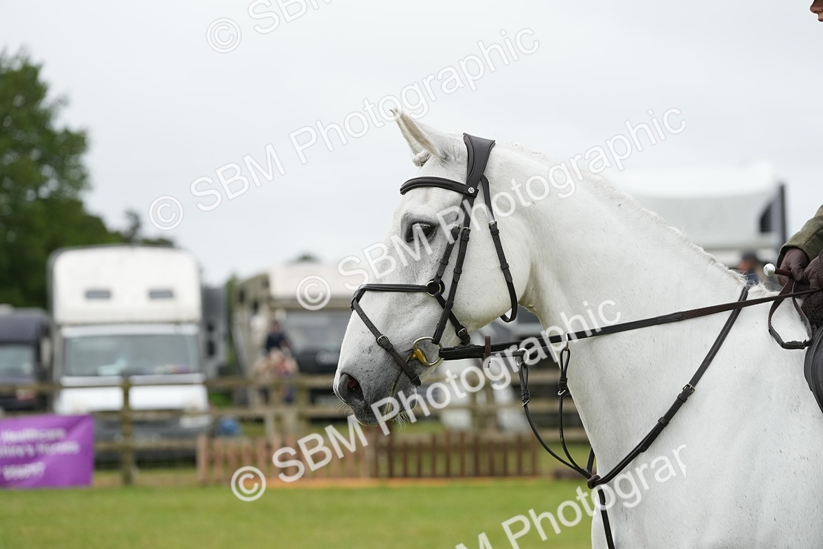 SBM_12584 - Class 97-98 - LIHS BSHA Rising Star Working Show Horse Hunter